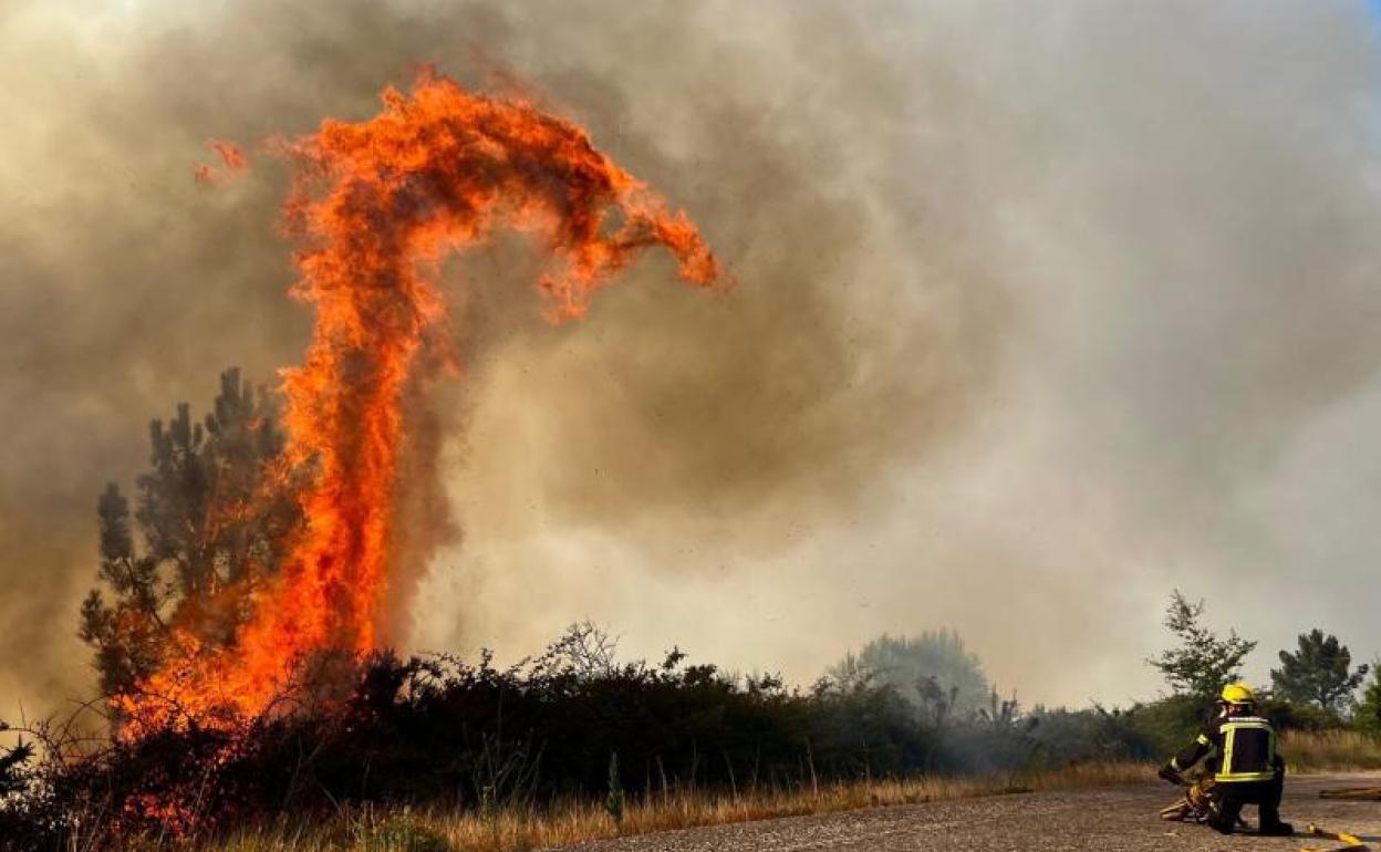 Efectivos de bomberos trabajan este domingo en la extinción de un incendio forestal en A Cañiza (Pontevedra).