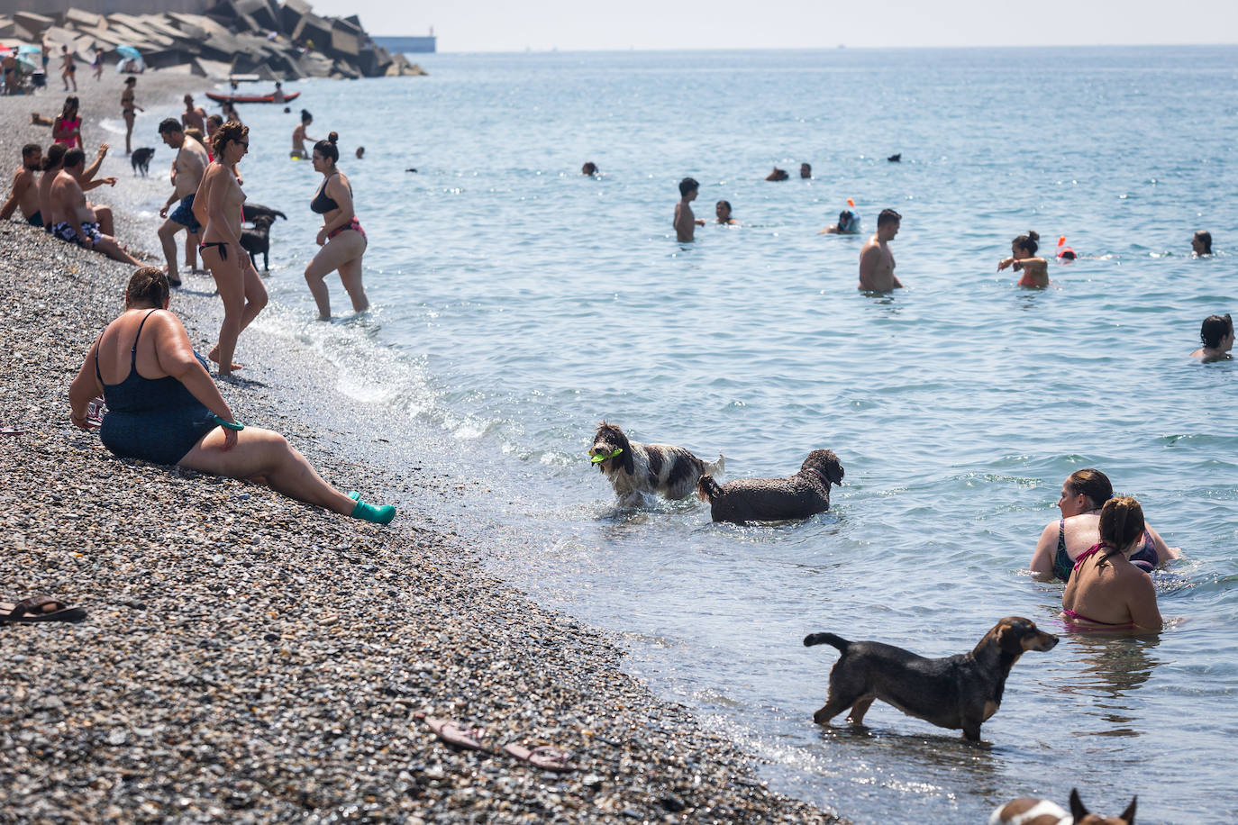La playa para perros de Motril cuenta con duchas y fuente tras una obra que se demoró hasta agosto