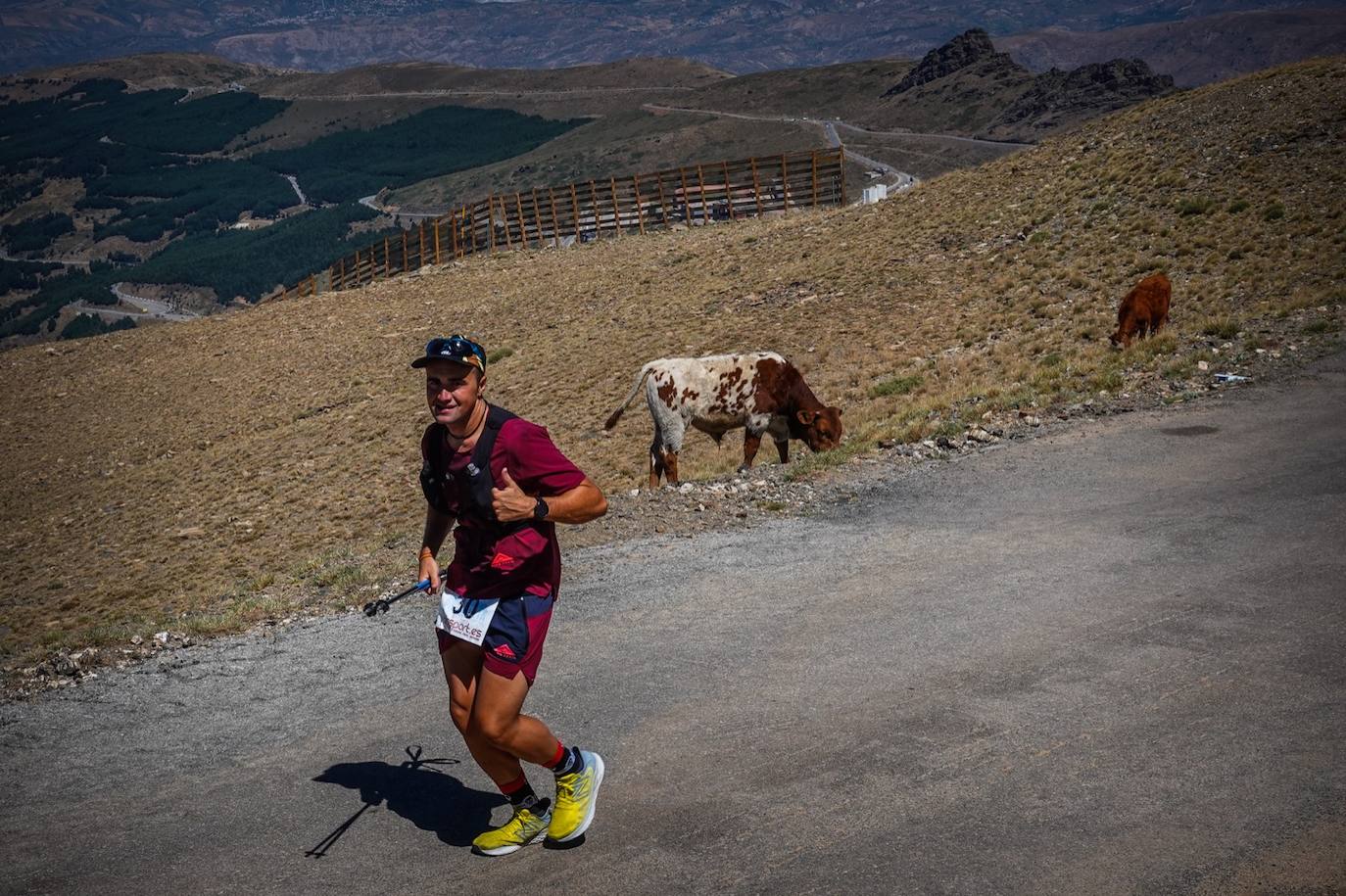 La 38 edición de la Subida Internacional Pico Veleta se ha celebrado este domingo.