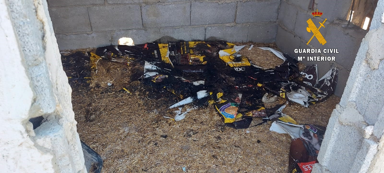 Lugar en el que se han encontrado los cuerpos de los perros. 