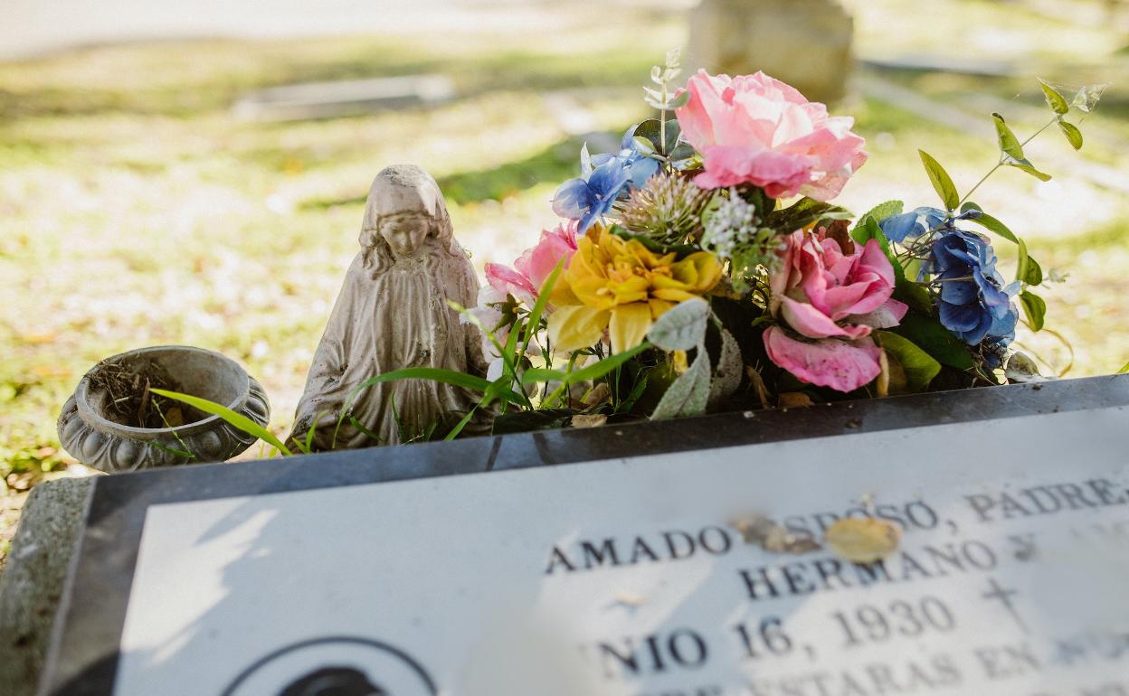 Flores frescas sobre tu tumba