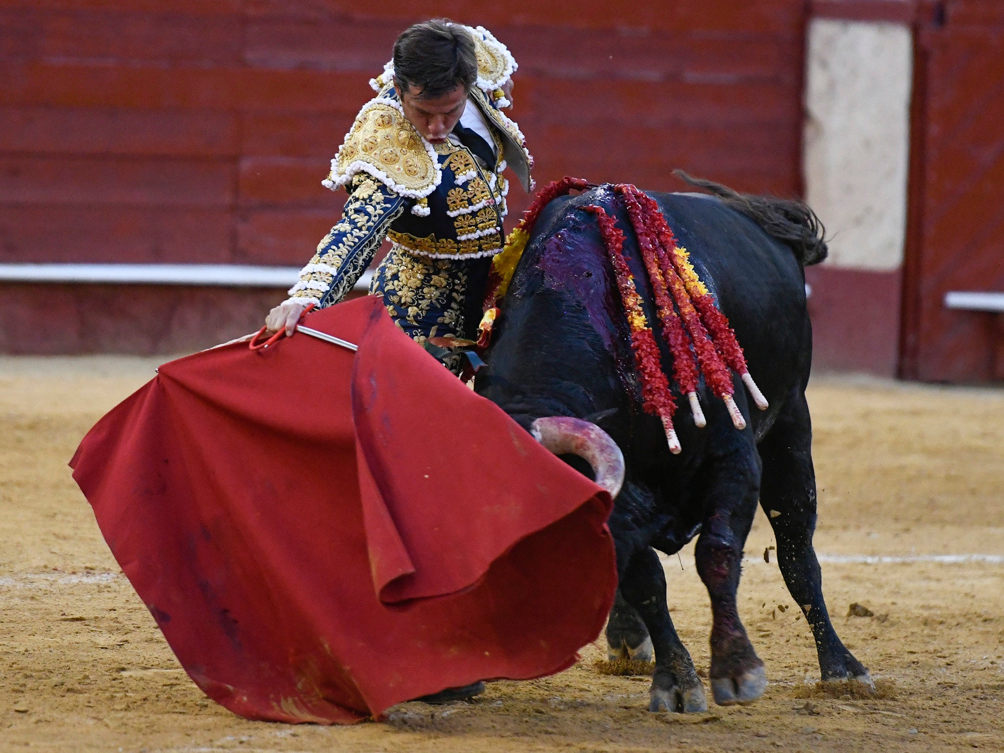 Momento del festejo celebrado este sábado en la plaza almeriense.
