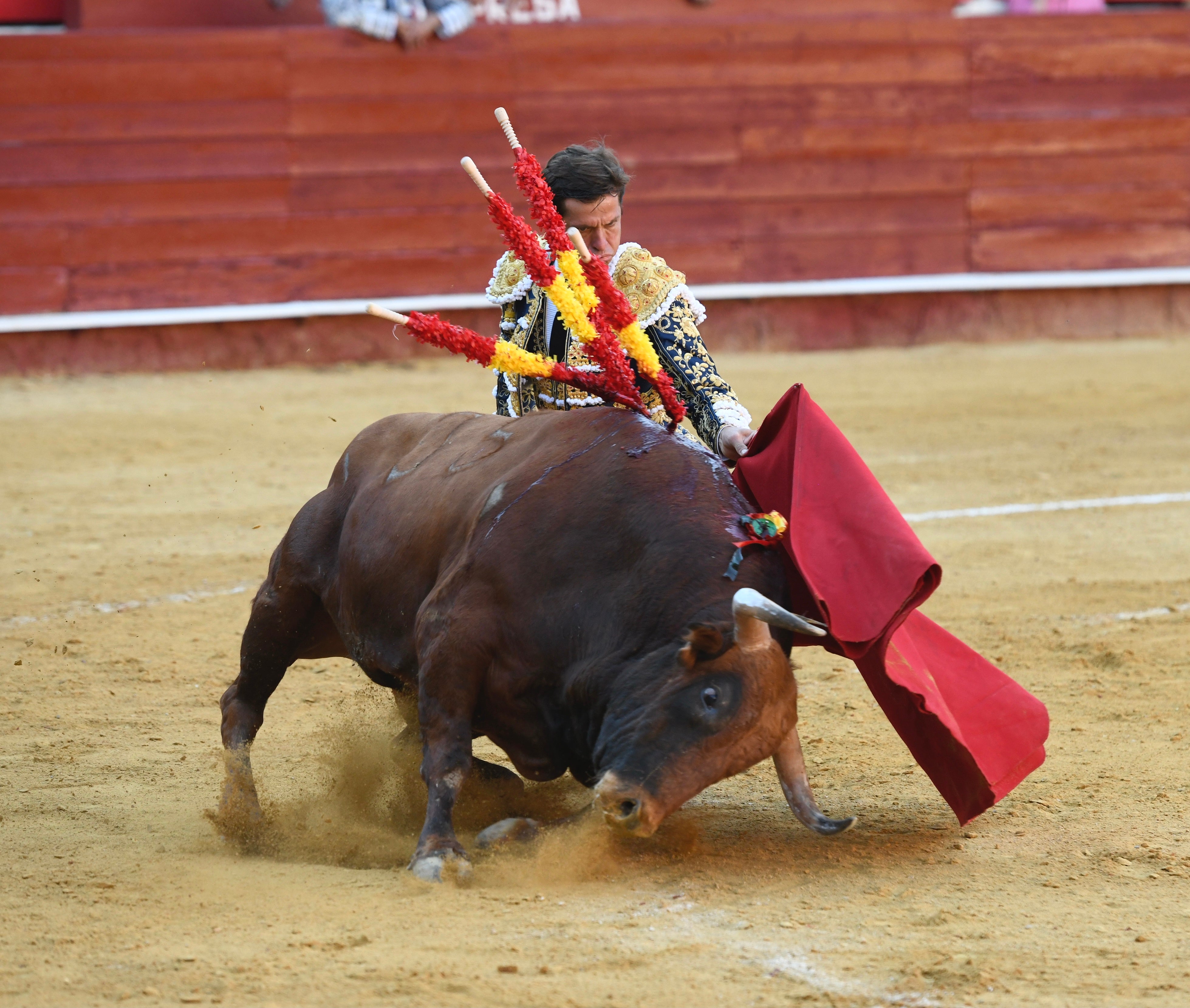 Momento del festejo celebrado este sábado en la plaza almeriense.