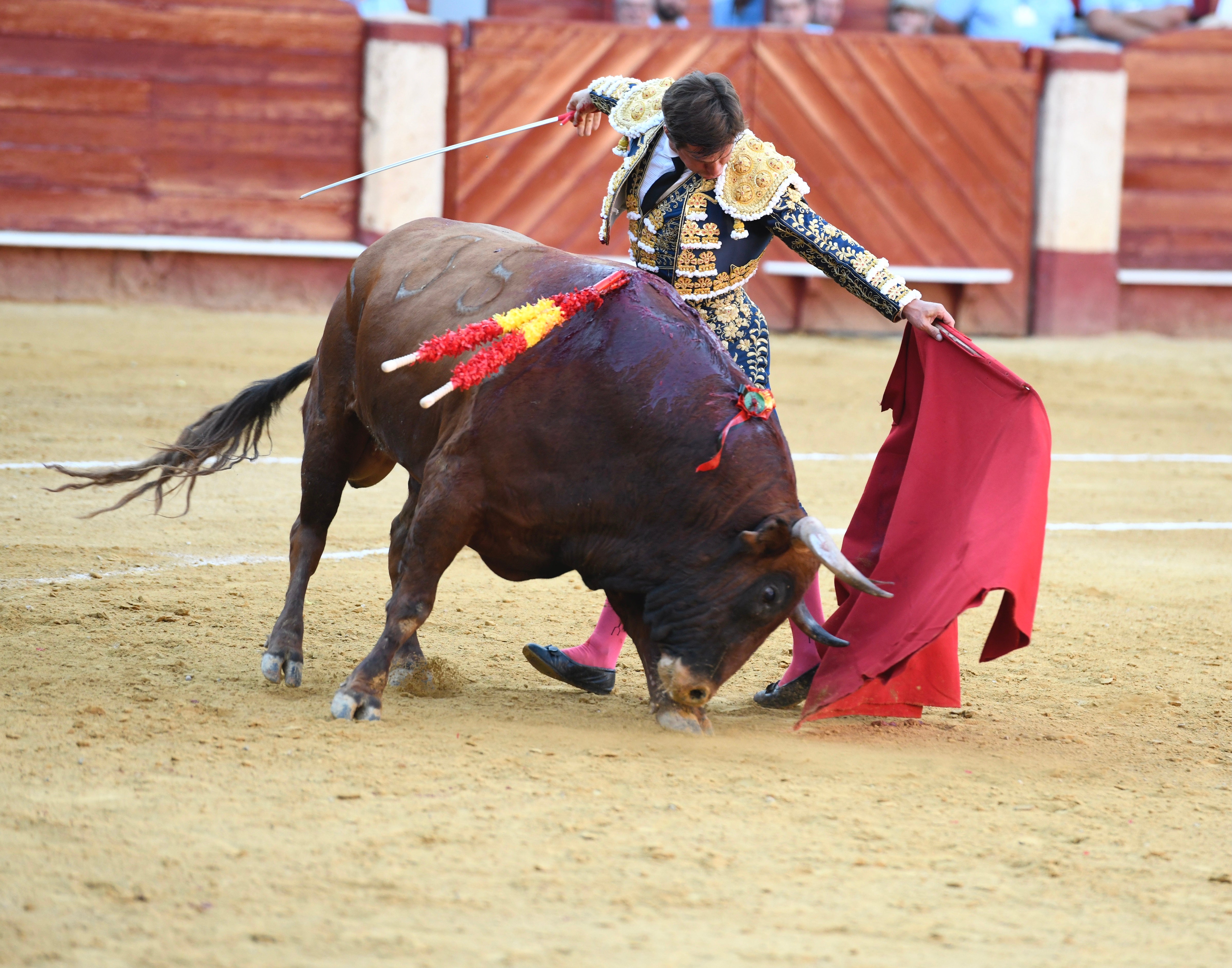 Momento del festejo celebrado este sábado en la plaza almeriense.