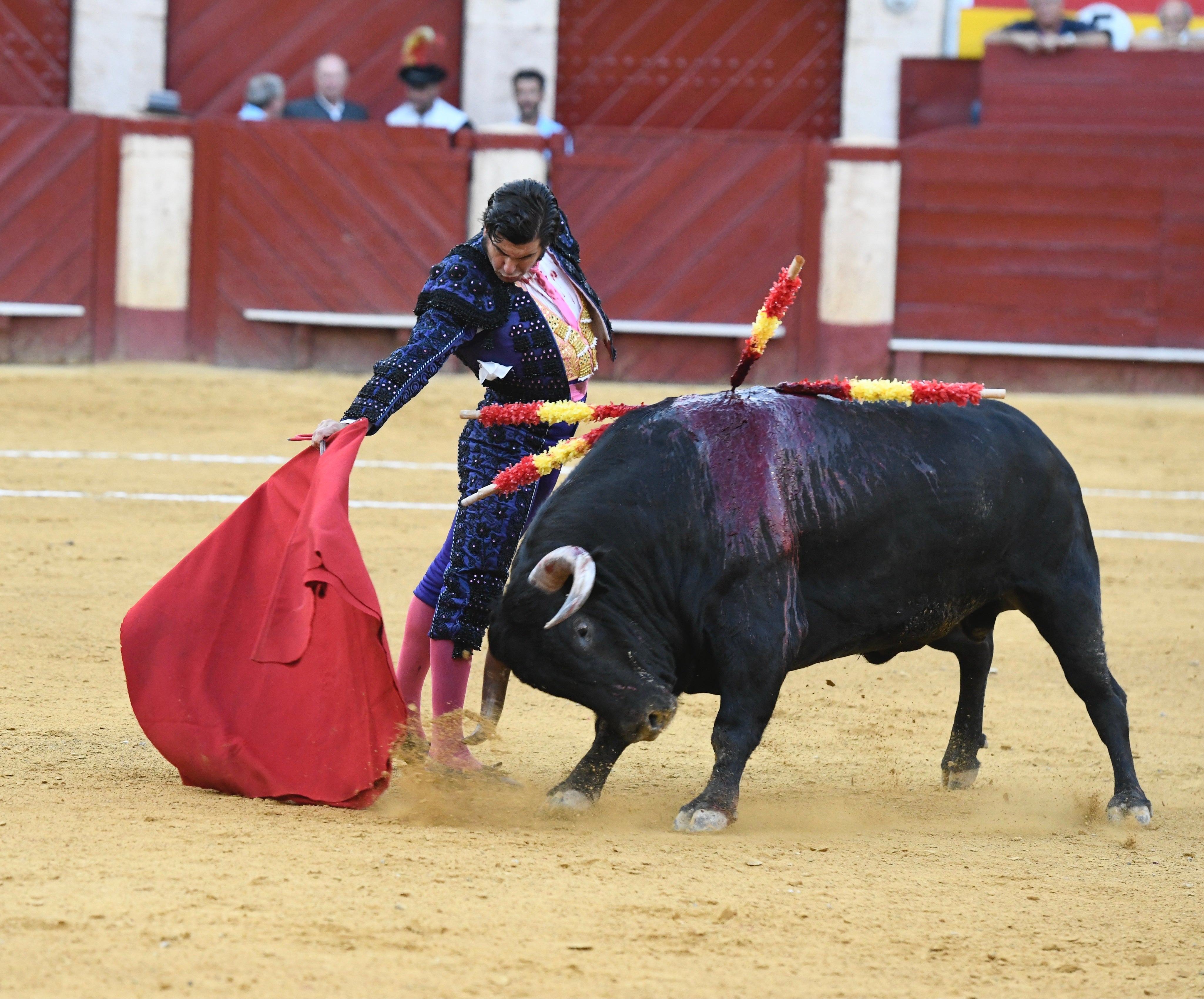 Momento del festejo celebrado este sábado en la plaza almeriense.