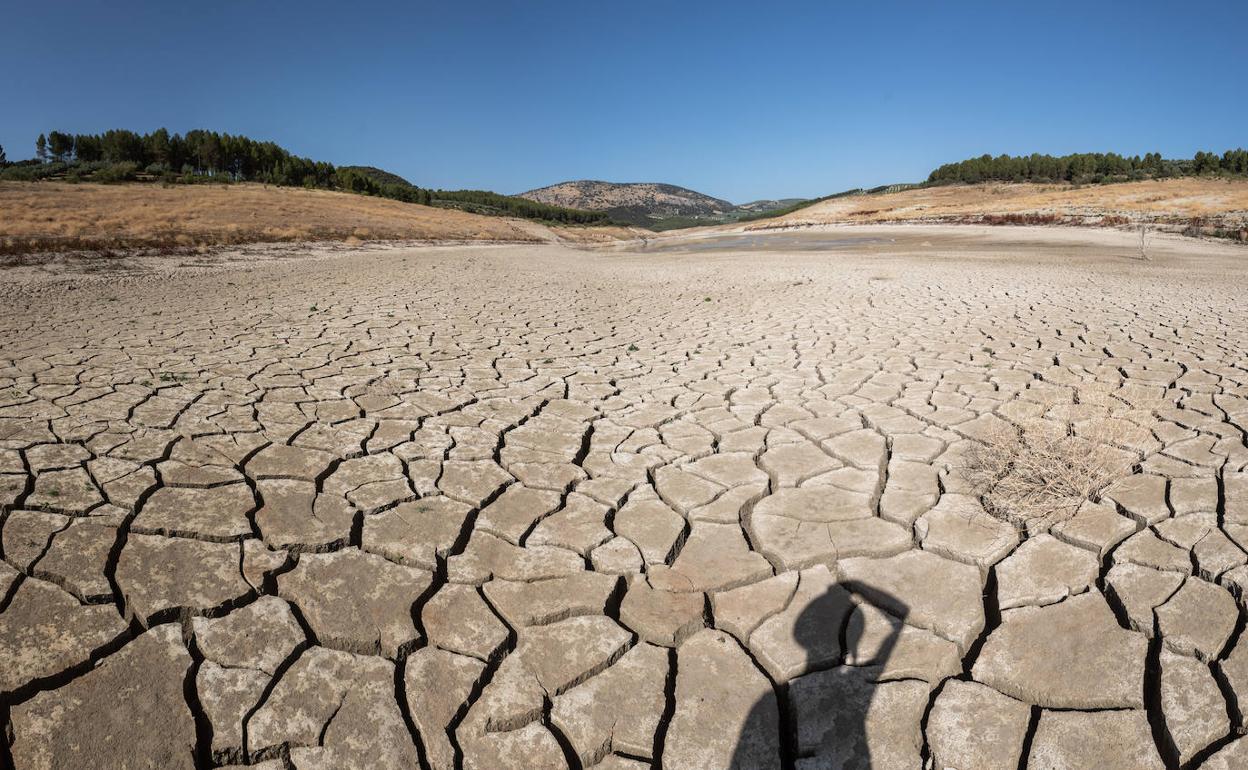 Imagen tomada en el embalse de Colomera el pasado 3 de agosto. 