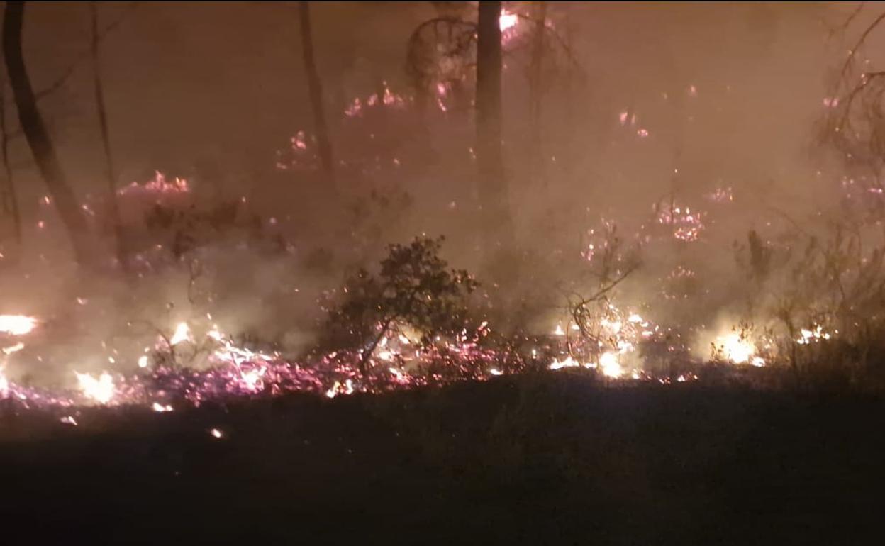 Imagen de los cuatro focos del incendio en Benatae. 