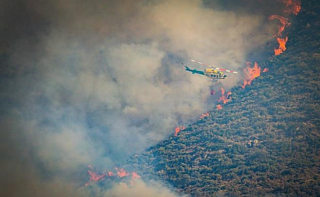 El fuego de Pinos Puente del pasado mes de julio.