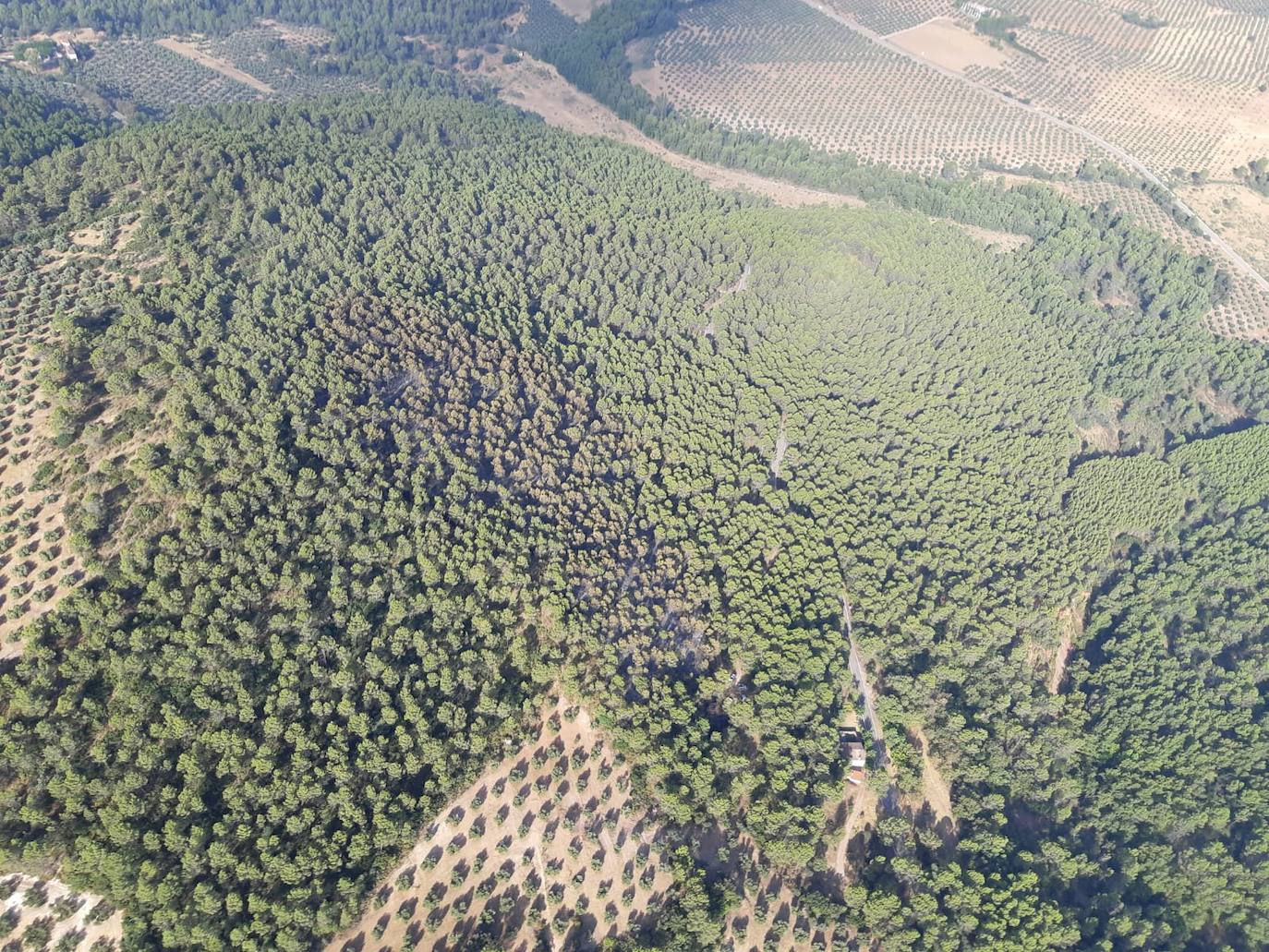 Última imagen de la zona facilitada por Infoca. 