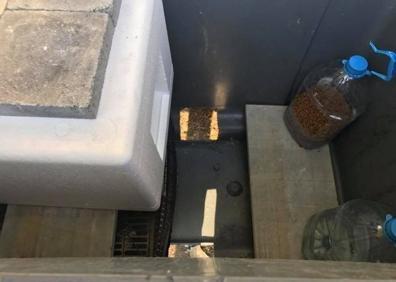 Imagen secundaria 1 - El Gatotel, la iniciativa de un pueblo de Granada para transformar contenedores en refugios felinos