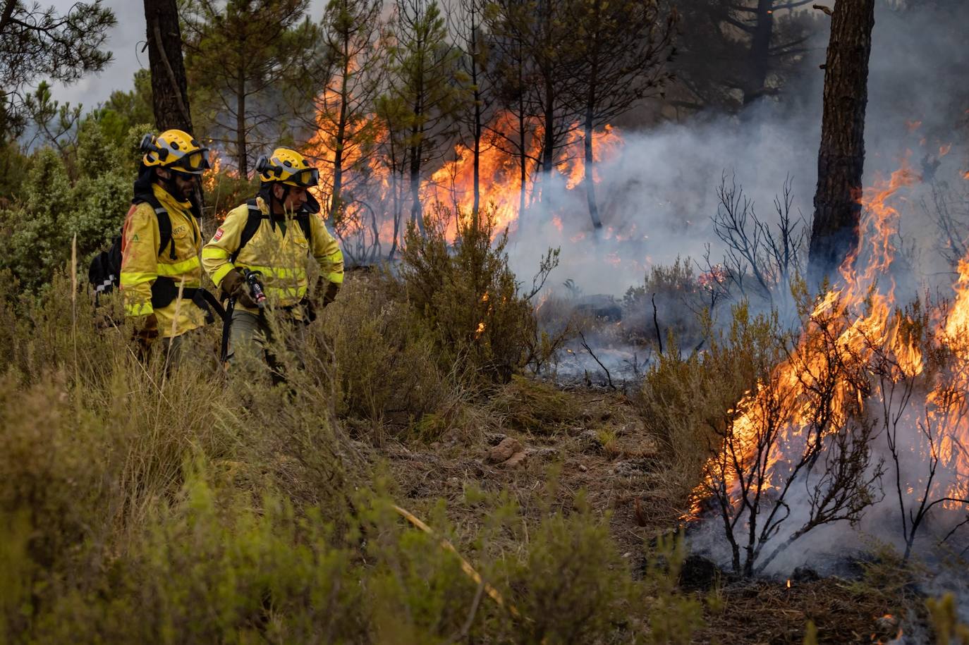 Operarios del Infoca trabajando contra el incendio.