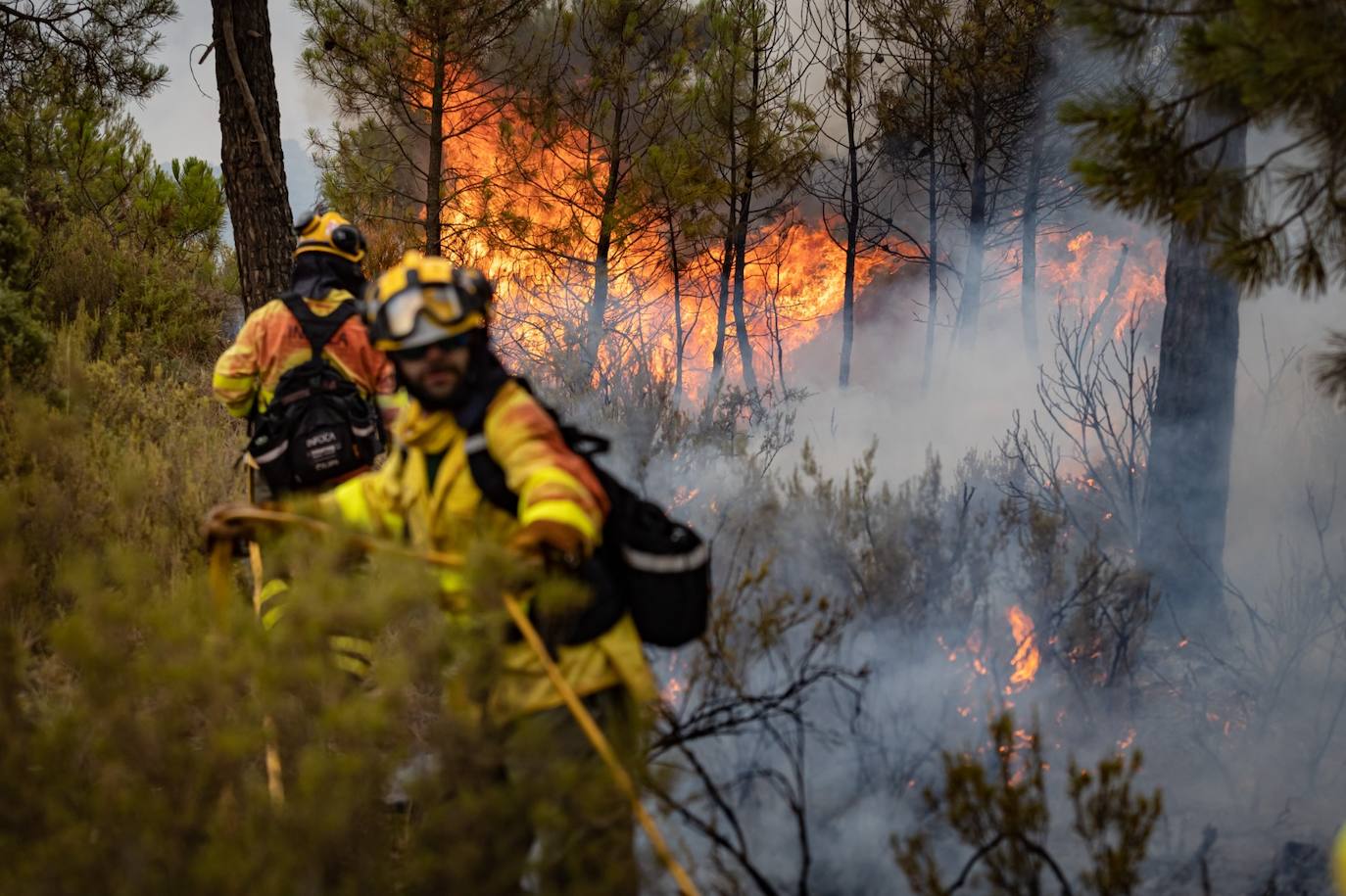 Operarios del Infoca trabajando contra el incendio.