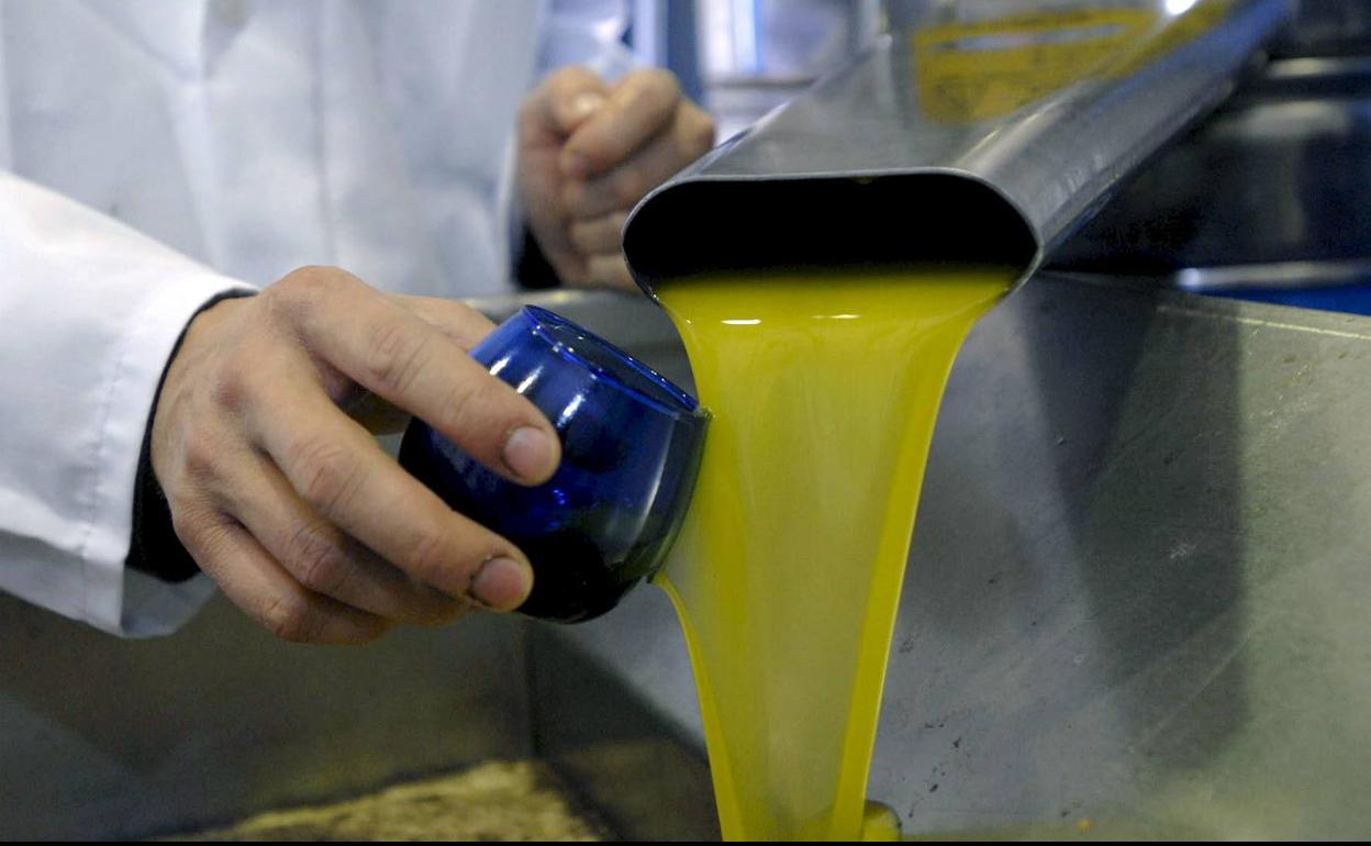 Se cierran operaciones ya a 4 euros el kilo de aceite de oliva en origen y hasta el lampante se aproxima