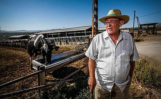 El presidente de Alba Ganaderos, José Antonio Bolívar, en su granja de Moraleda de Zafayona donde tienen 1.100 vacas. 