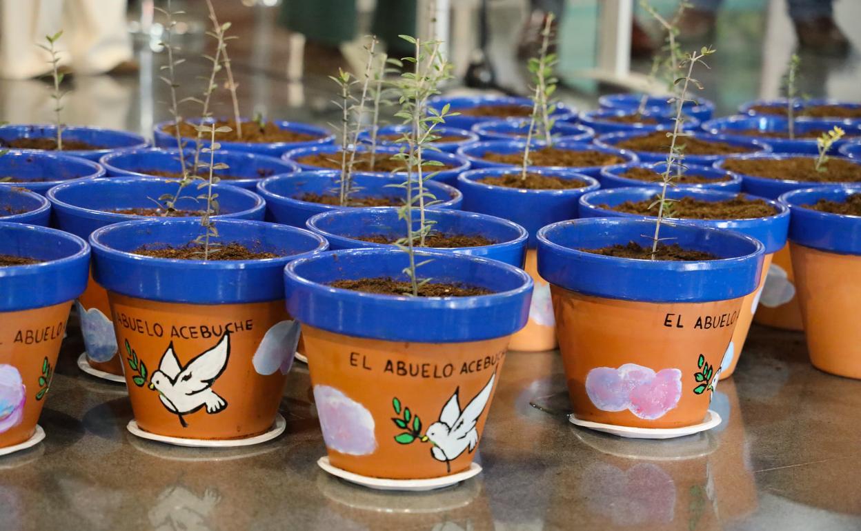 El proyecto Eracis, en 'stand by'