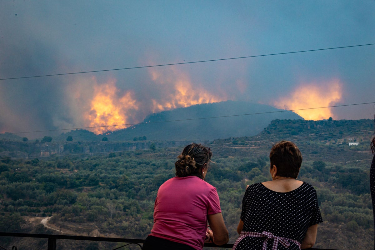 Las imágenes del mayor incendio de la provincia en lo que va de año