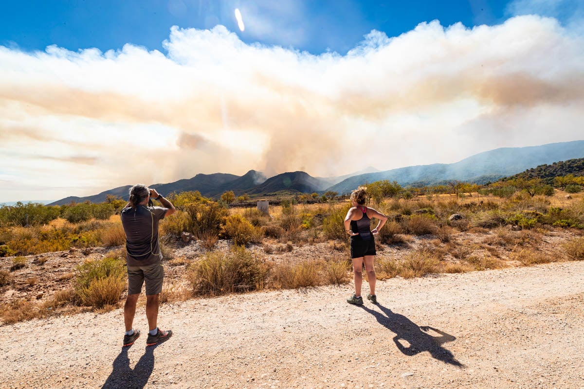 Las imágenes del mayor incendio de la provincia en lo que va de año