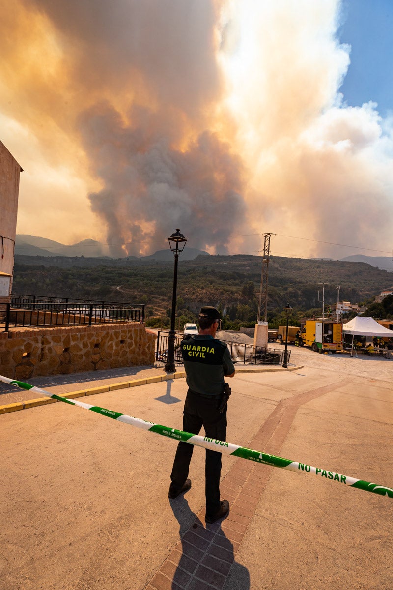 Las imágenes del mayor incendio de la provincia en lo que va de año