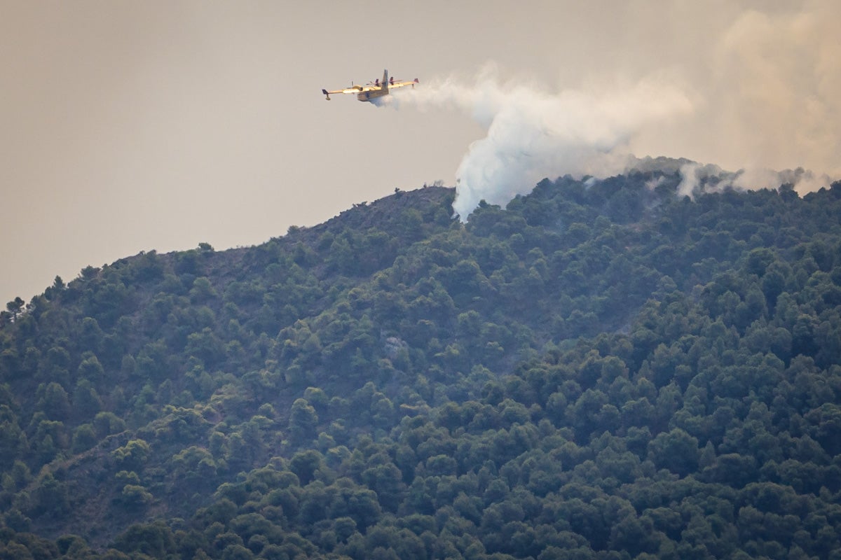 Las imágenes del mayor incendio de la provincia en lo que va de año