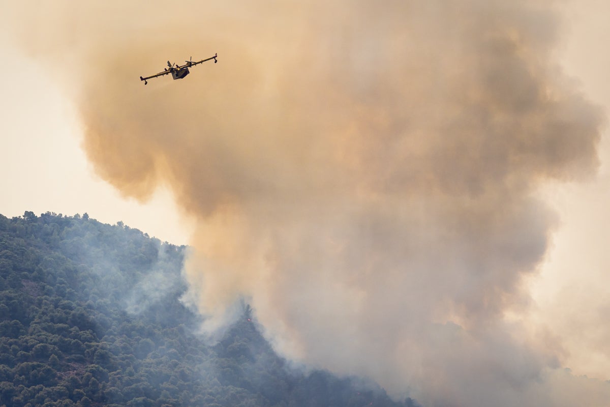 Las imágenes del mayor incendio de la provincia en lo que va de año