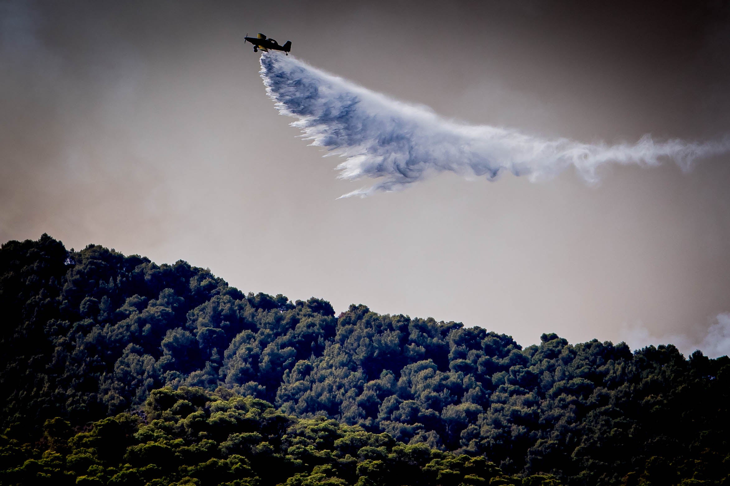 Las imágenes del mayor incendio de la provincia en lo que va de año