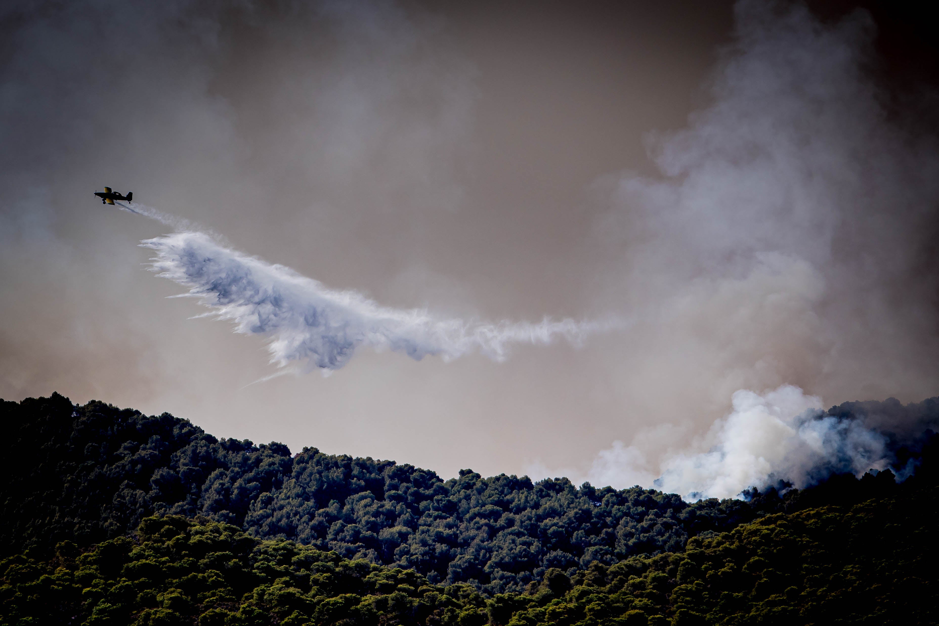 Las imágenes del mayor incendio de la provincia en lo que va de año