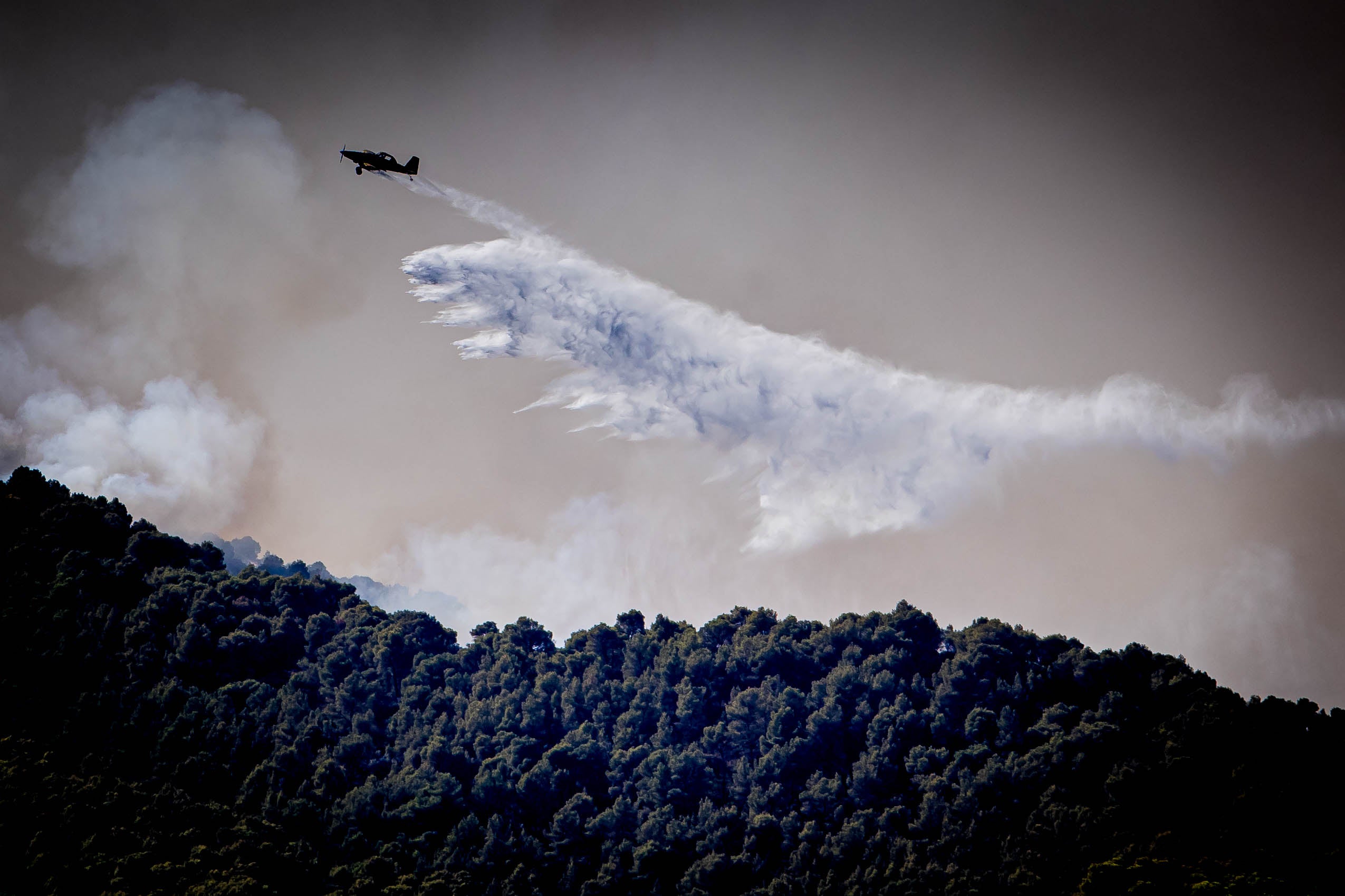 Las imágenes del mayor incendio de la provincia en lo que va de año