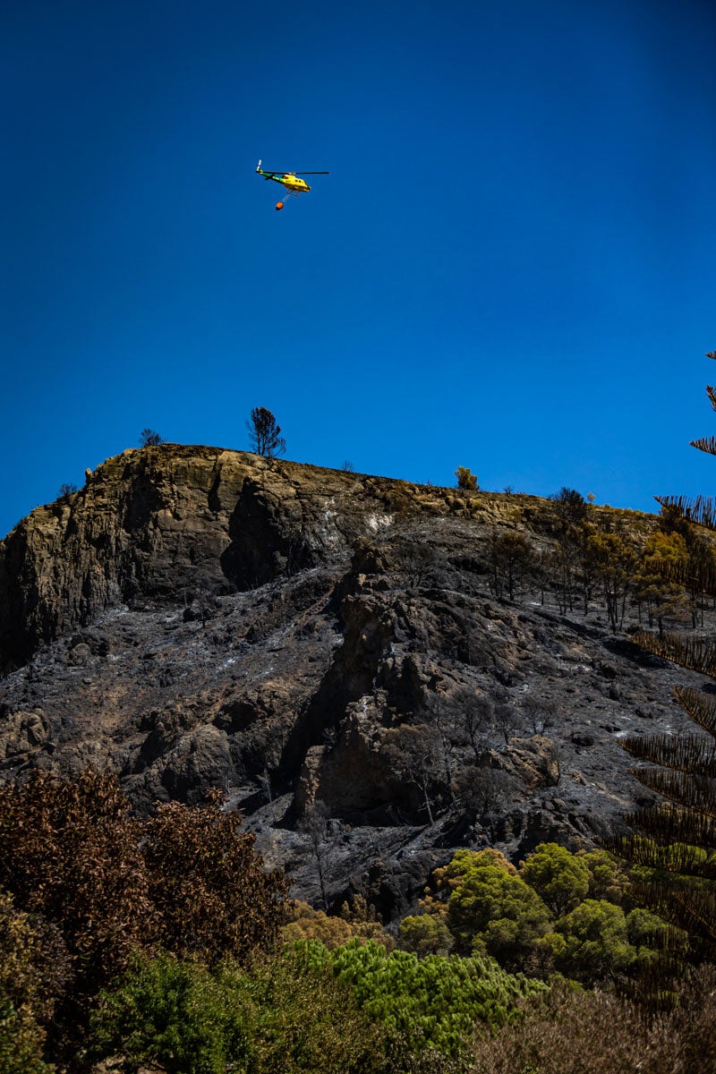 Así se encuentra la zona afectada por las llamas entre Los Guájares y Albuñuelas.