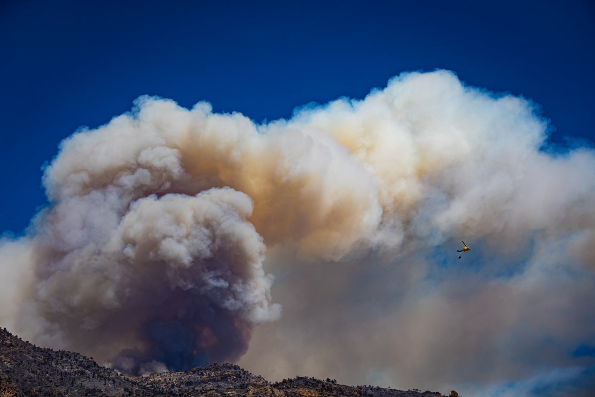 Así se encuentra la zona afectada por las llamas entre Los Guájares y Albuñuelas.