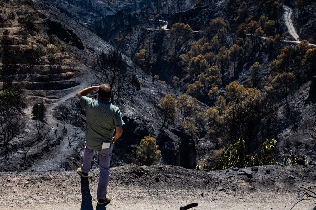 Así se encuentra la zona afectada por las llamas entre Los Guájares y Albuñuelas.