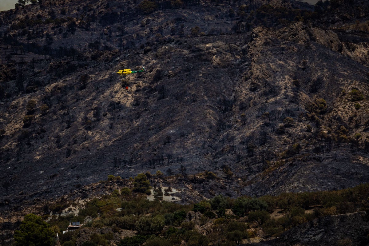 Así se encuentra la zona afectada por las llamas entre Los Guájares y Albuñuelas.