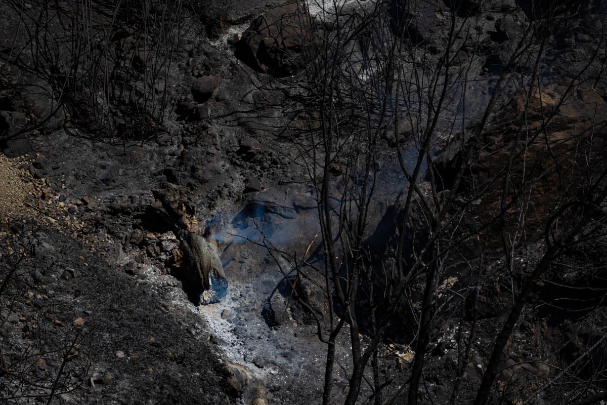 Así se encuentra la zona afectada por las llamas entre Los Guájares y Albuñuelas.