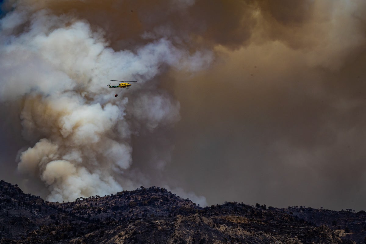 Así se encuentra la zona afectada por las llamas entre Los Guájares y Albuñuelas.