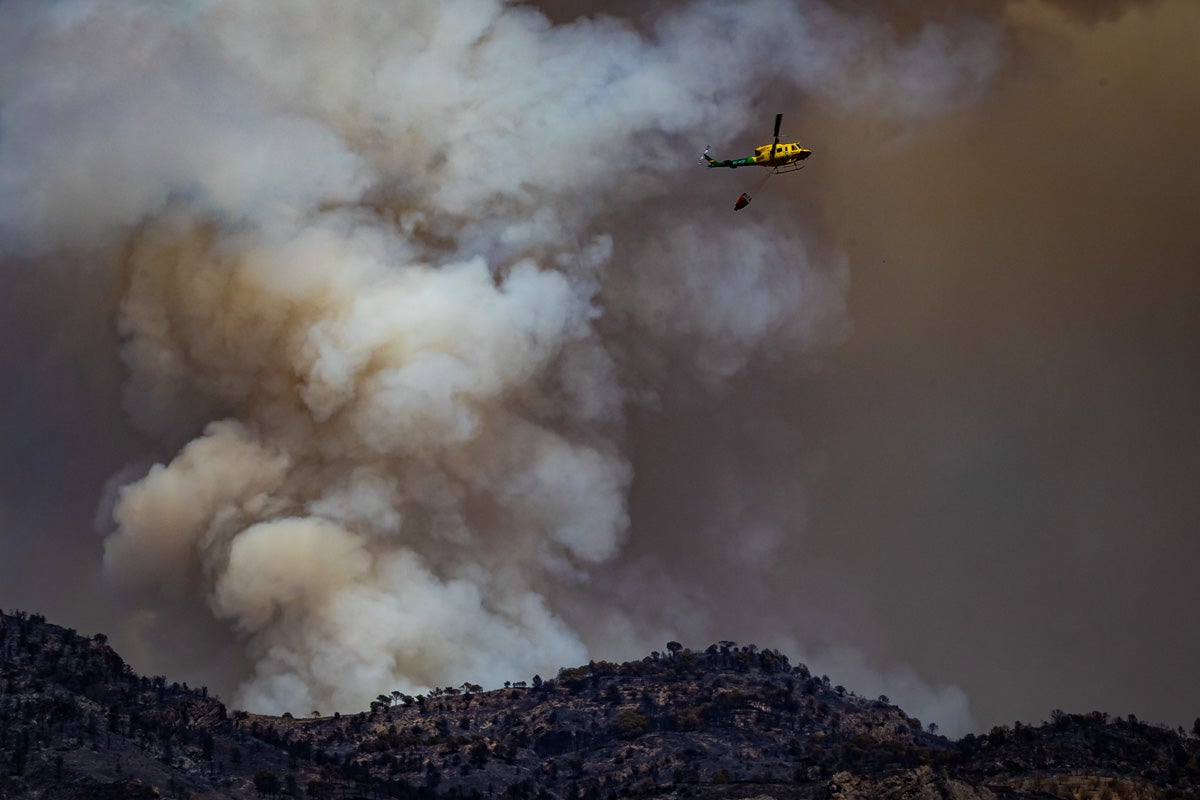 Así se encuentra la zona afectada por las llamas entre Los Guájares y Albuñuelas.