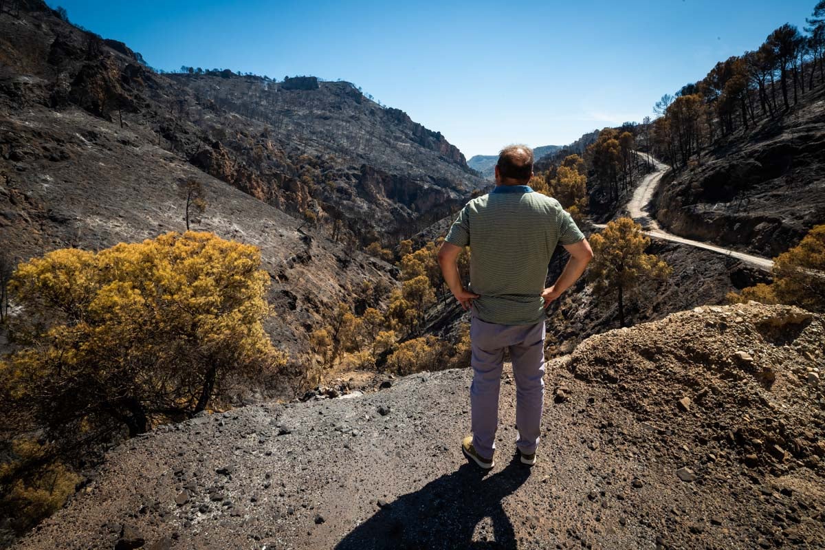 Así se encuentra la zona afectada por las llamas entre Los Guájares y Albuñuelas.
