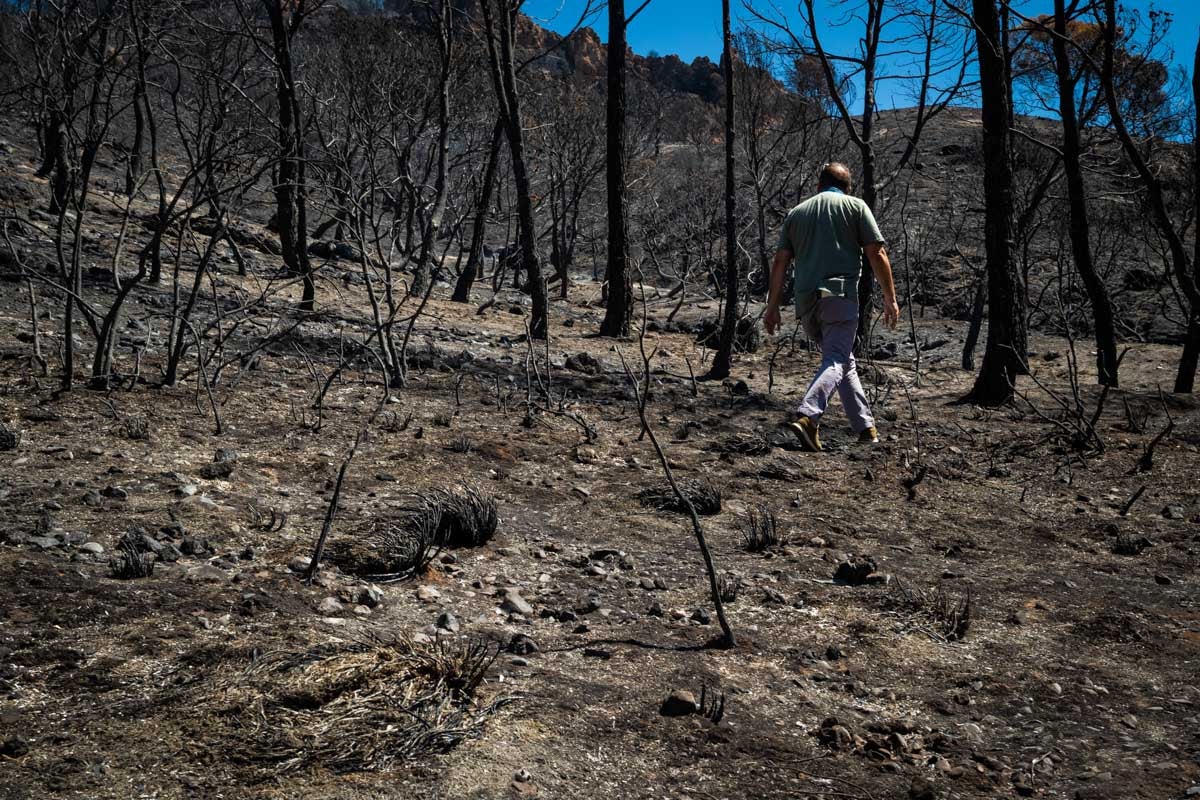Así se encuentra la zona afectada por las llamas entre Los Guájares y Albuñuelas.