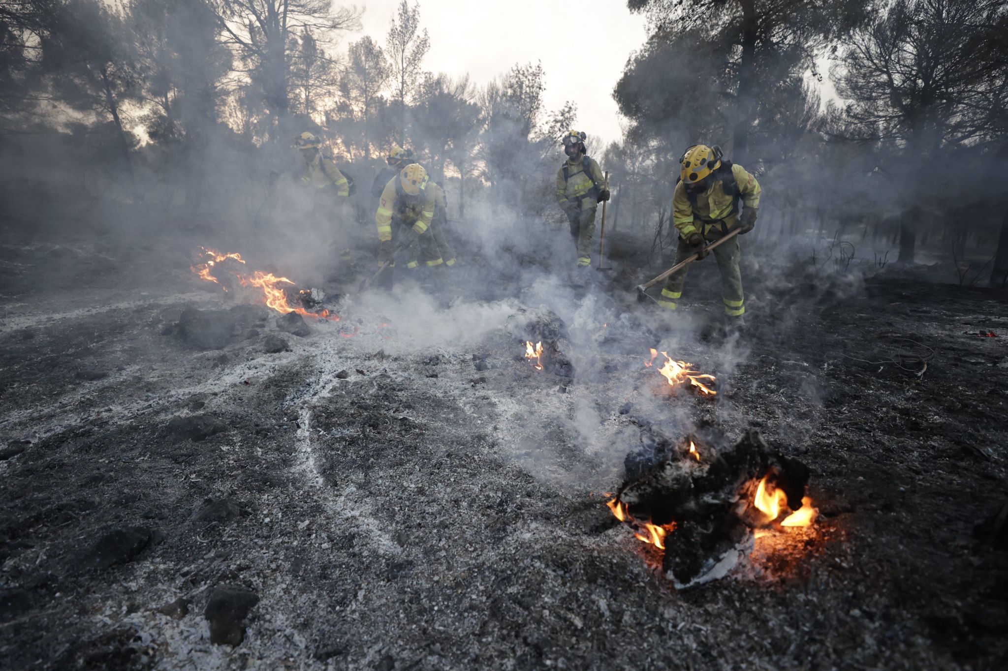 Bomberos terrestres y medios aéreos luchan contra el fuego.