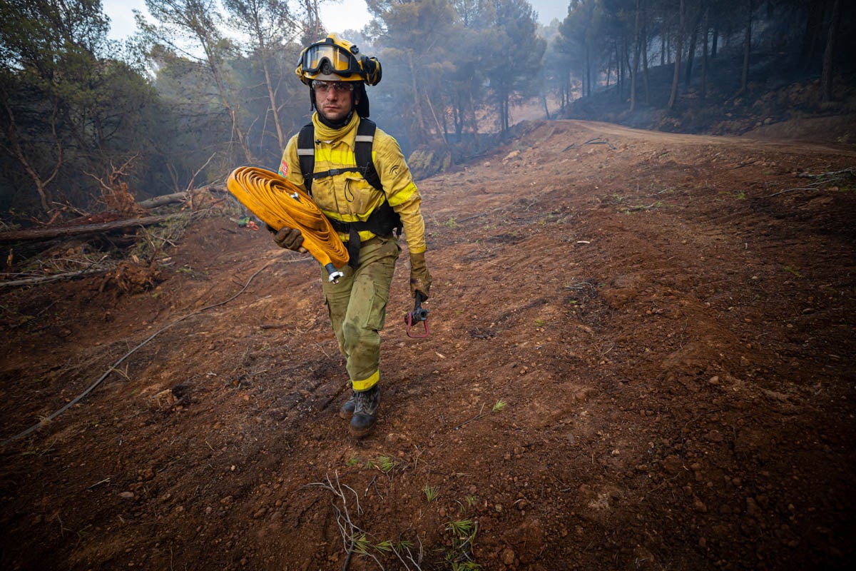 Bomberos terrestres y medios aéreos luchan contra el fuego.