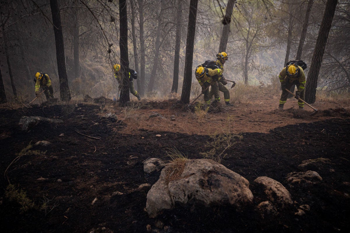 Bomberos terrestres y medios aéreos luchan contra el fuego.