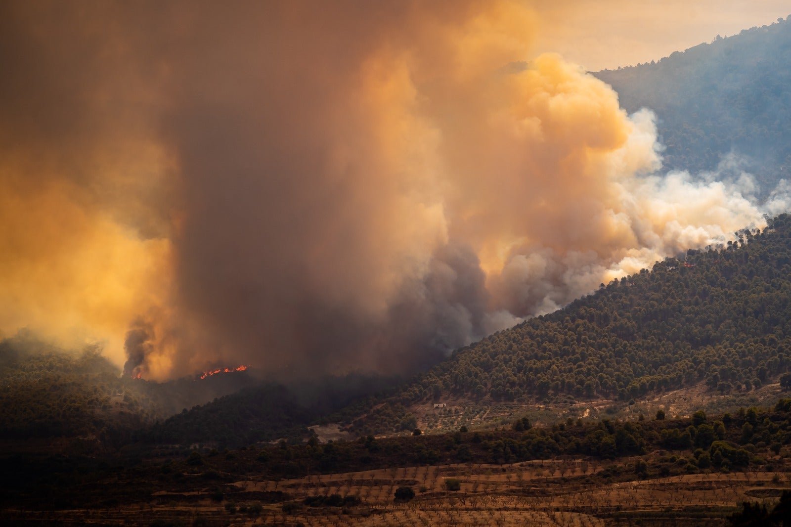 El Infoca se ha centrado desde este domingo en el frente norte del incendio, que se enuentra justo enfrente de Restábal, PInos del Valle y Saleres.