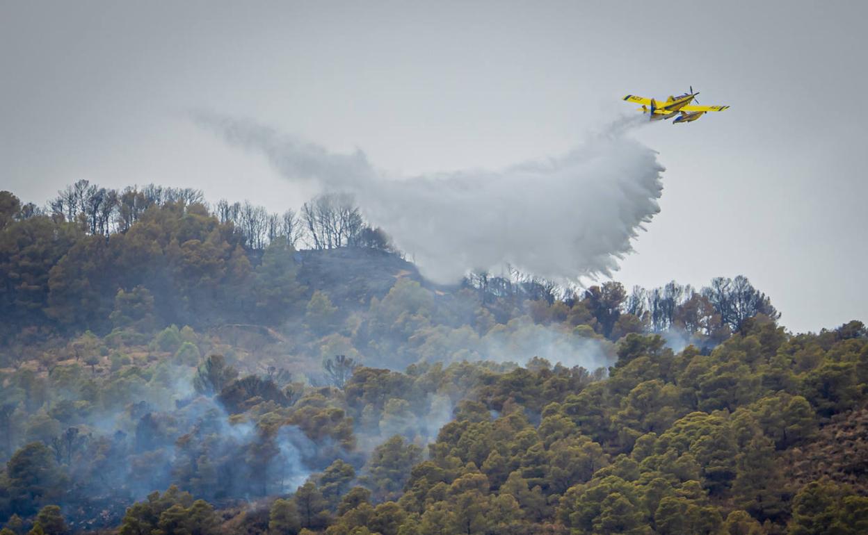 Una avioneta descarga sobre el incendio en la zona de Vélez de Benaudalla