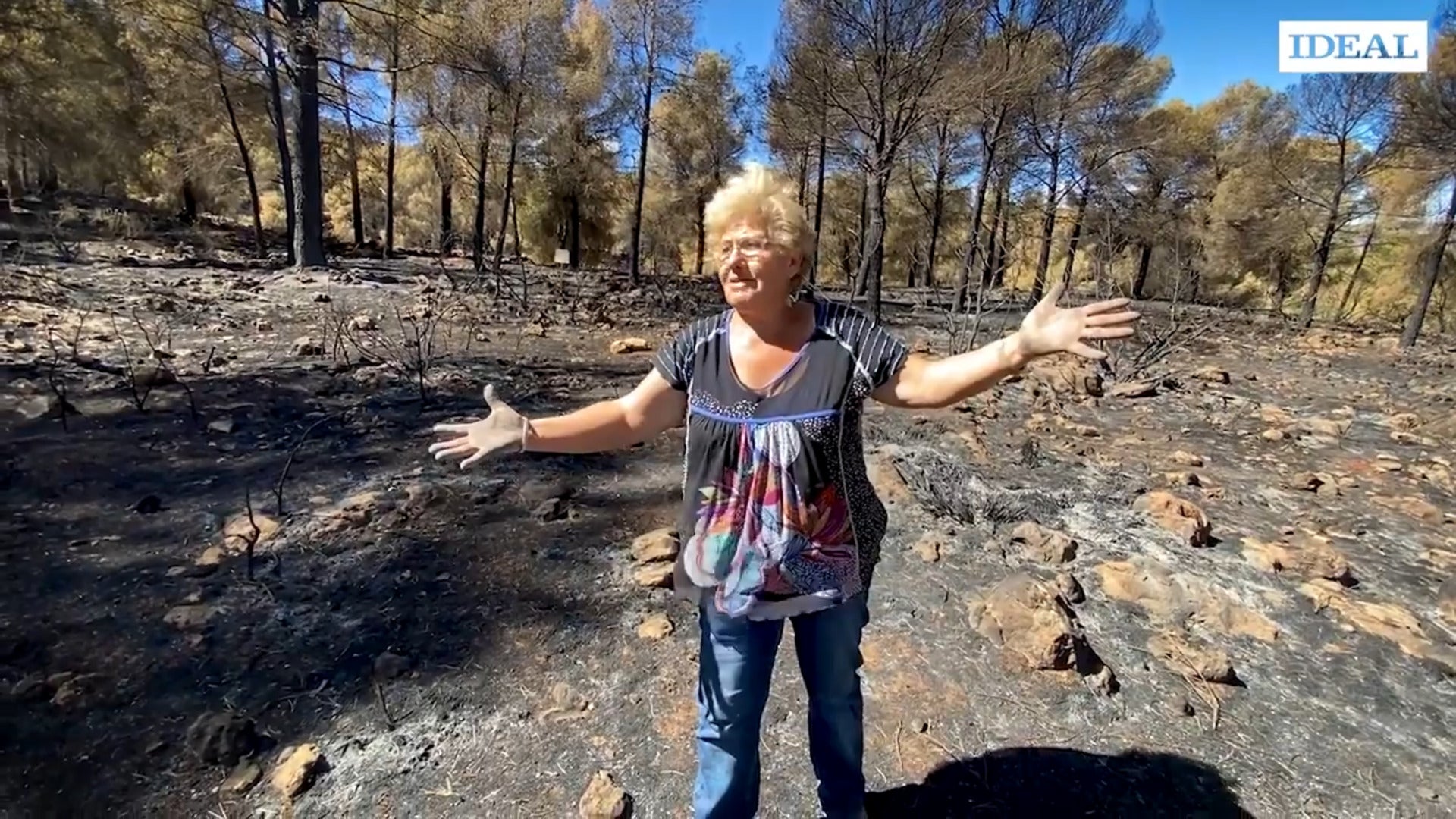 Alcaldes de Los Guájares y el Valle de Lecrín hacen balance del incendio