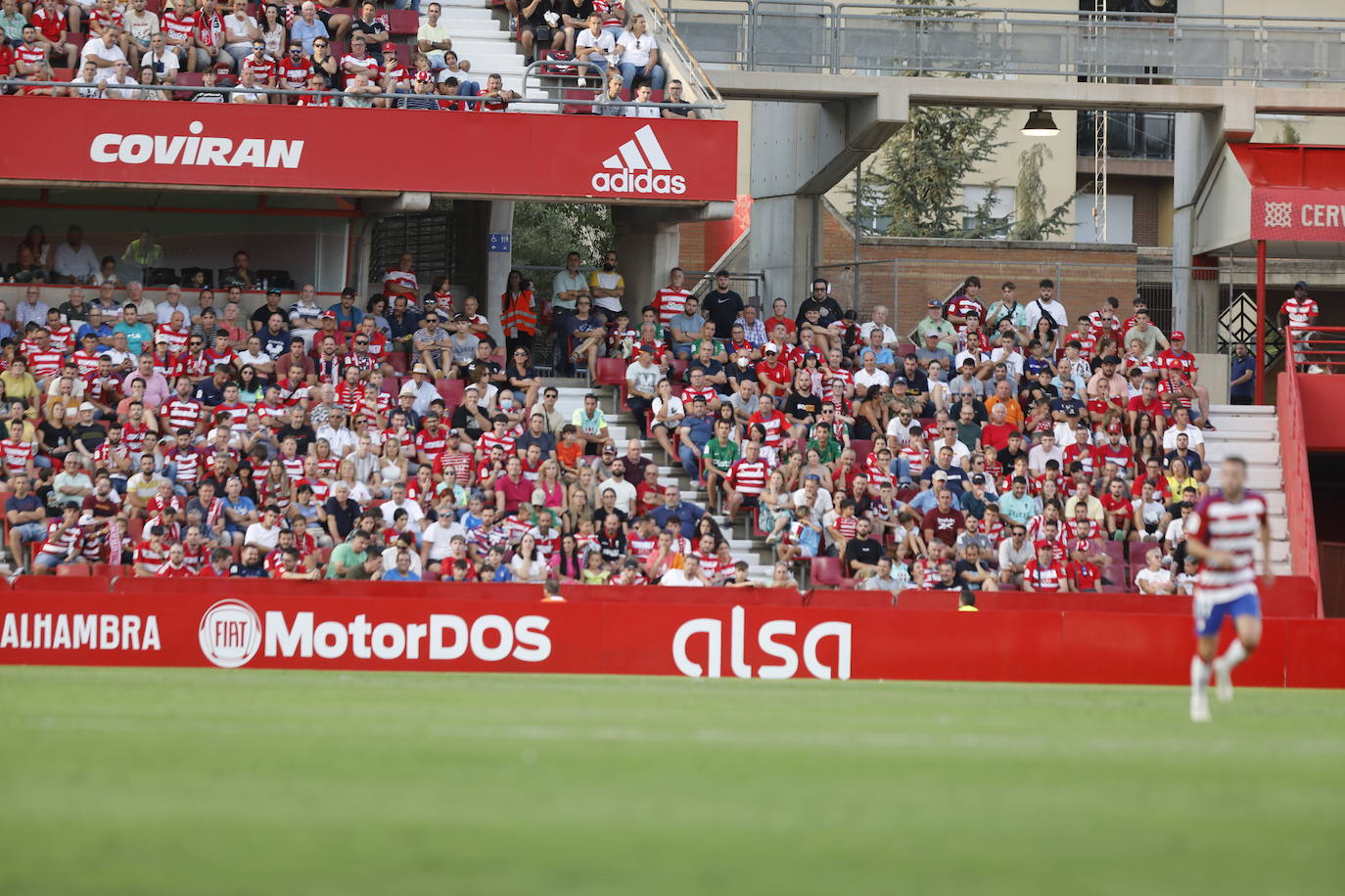 Ambiente en las gradas de Los Cármenes