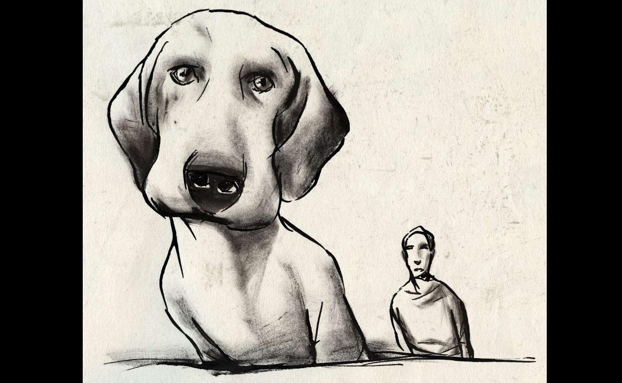 ¿Demasiadas mascotas?