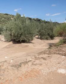 Imagen secundaria 2 - Imágenes de la tromba que anegó viviendas y negocios el 21 de septiembre de 2021 en Montefrío, tras desbordarse el Arroyo Milanos. 