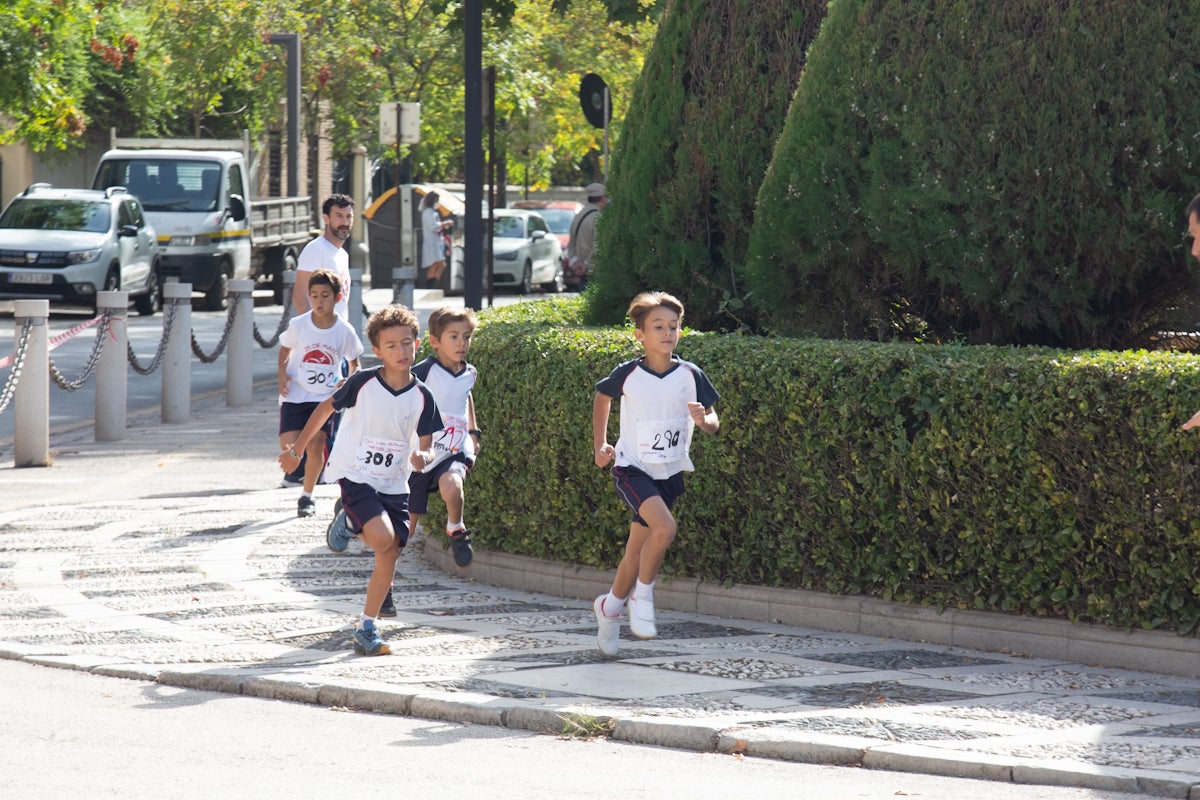 Carrera contra la leucemia en el Paseo del Salón
