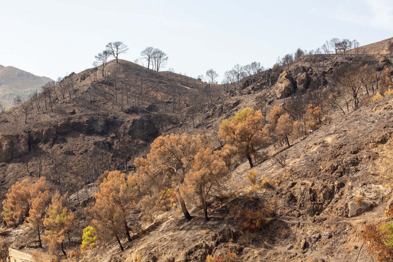 Así ha quedado la zona de Los Guájares tras el gran incendio