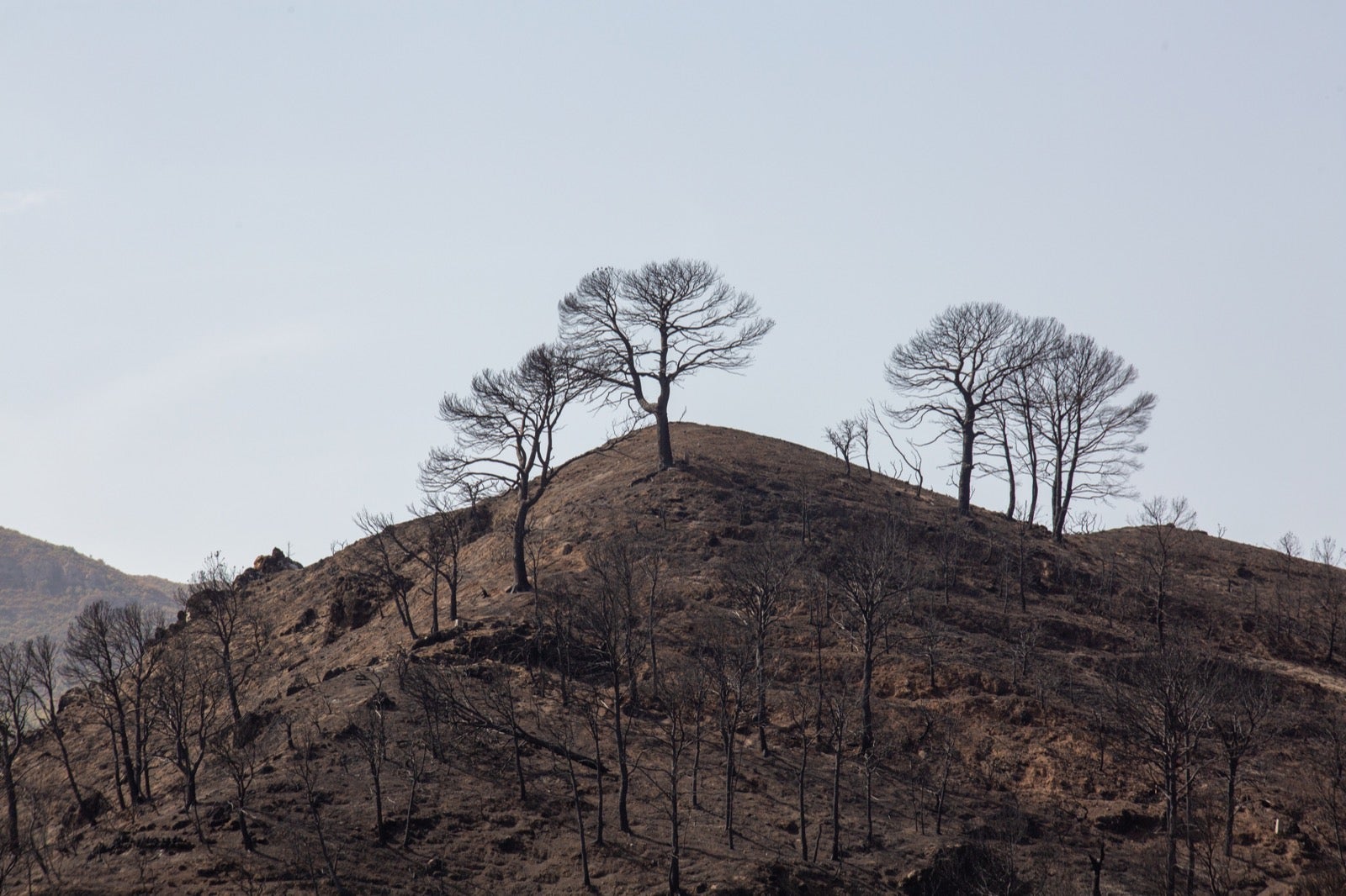 Así ha quedado la zona de Los Guájares tras el gran incendio