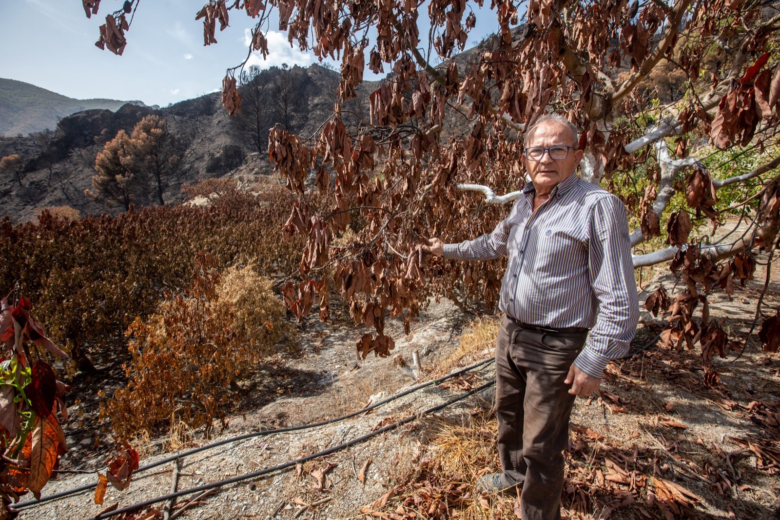 Así ha quedado la zona de Los Guájares tras el gran incendio