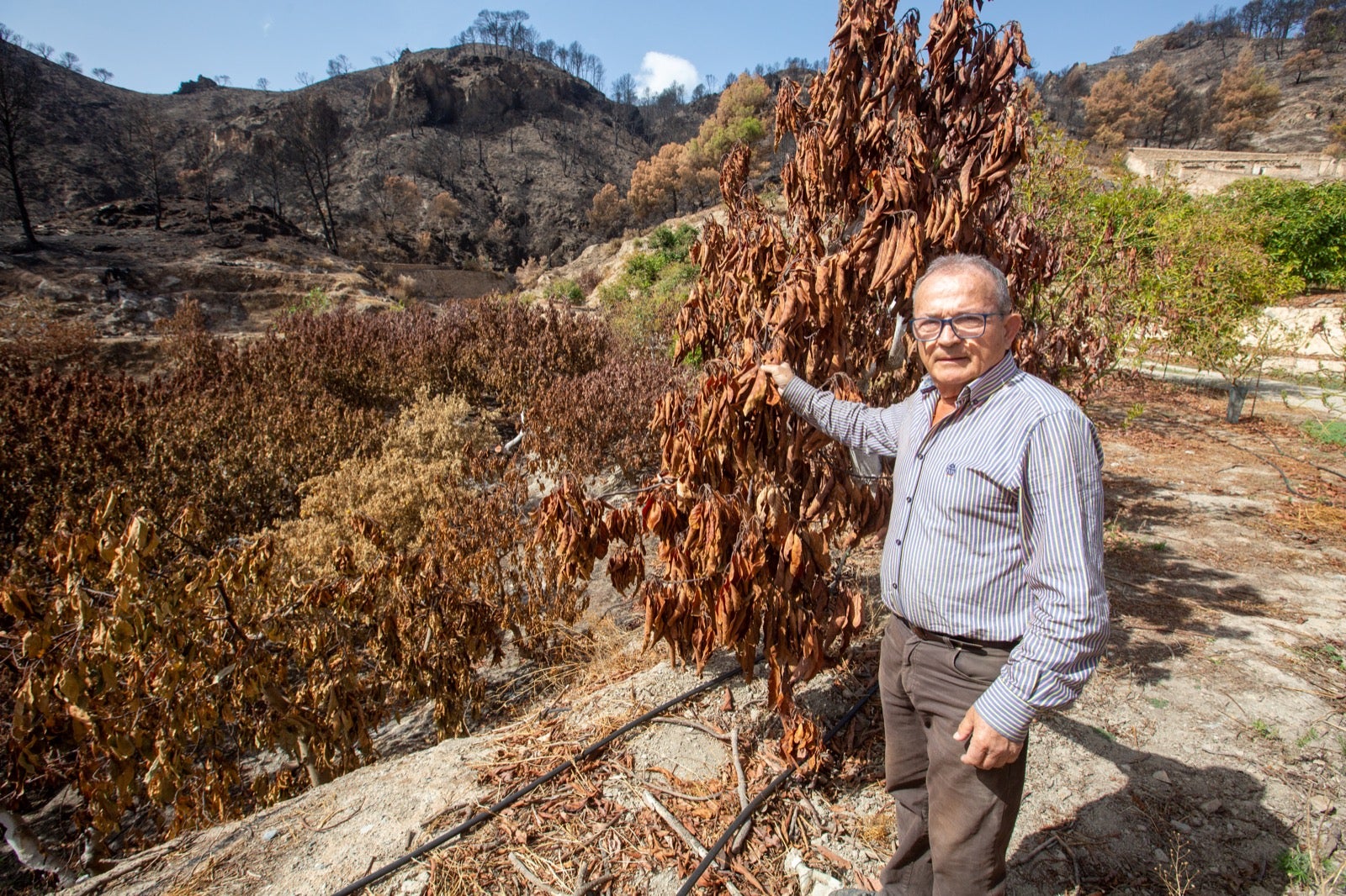 Así ha quedado la zona de Los Guájares tras el gran incendio